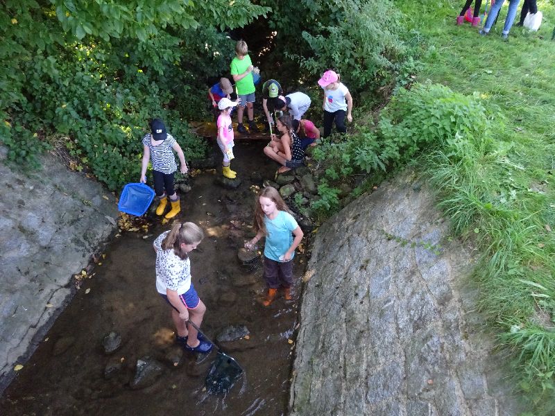 Bei einer sehr gut organisierten Aktion fühlten sich die OGV Kids im Feckinger Bach wohl. Es war hier die Bewohner des Baches zu erforschen